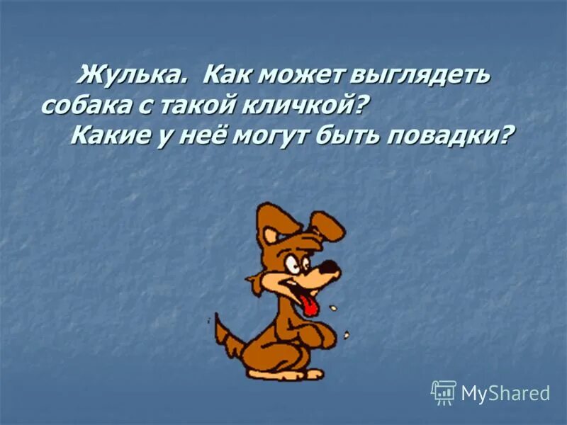 Собака Жулька. Как выглядела Жулька?. Жулька и Жемчужина. Как выглядит собака Жулька. Отношения между жулькой и барбосом