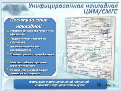 Как оформить транспортные