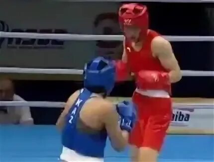 Бокс лицензионный турнир. Бокс лицензионный турнир