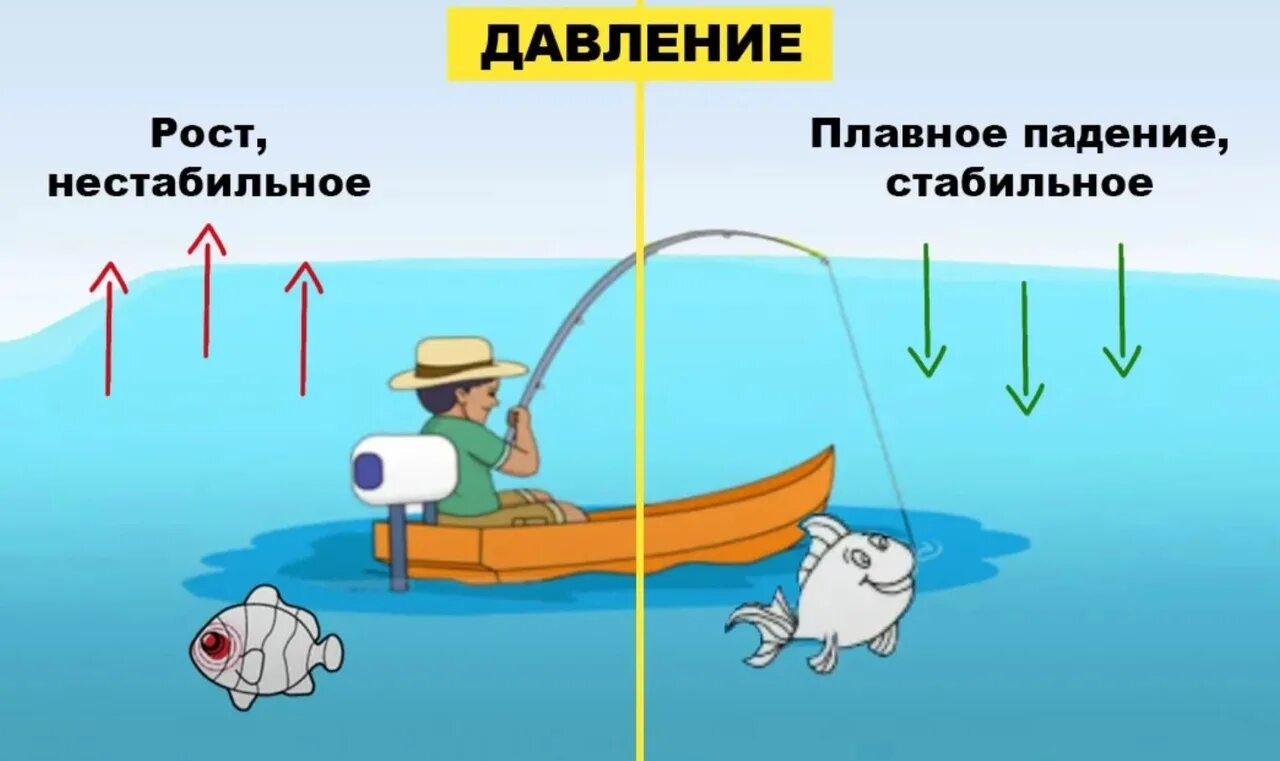 Давление для ловли рыбы. Влияние атмосферного давления на клев. Влияние давления на рыбалку. Влияние давления на рыбу. Схема клева