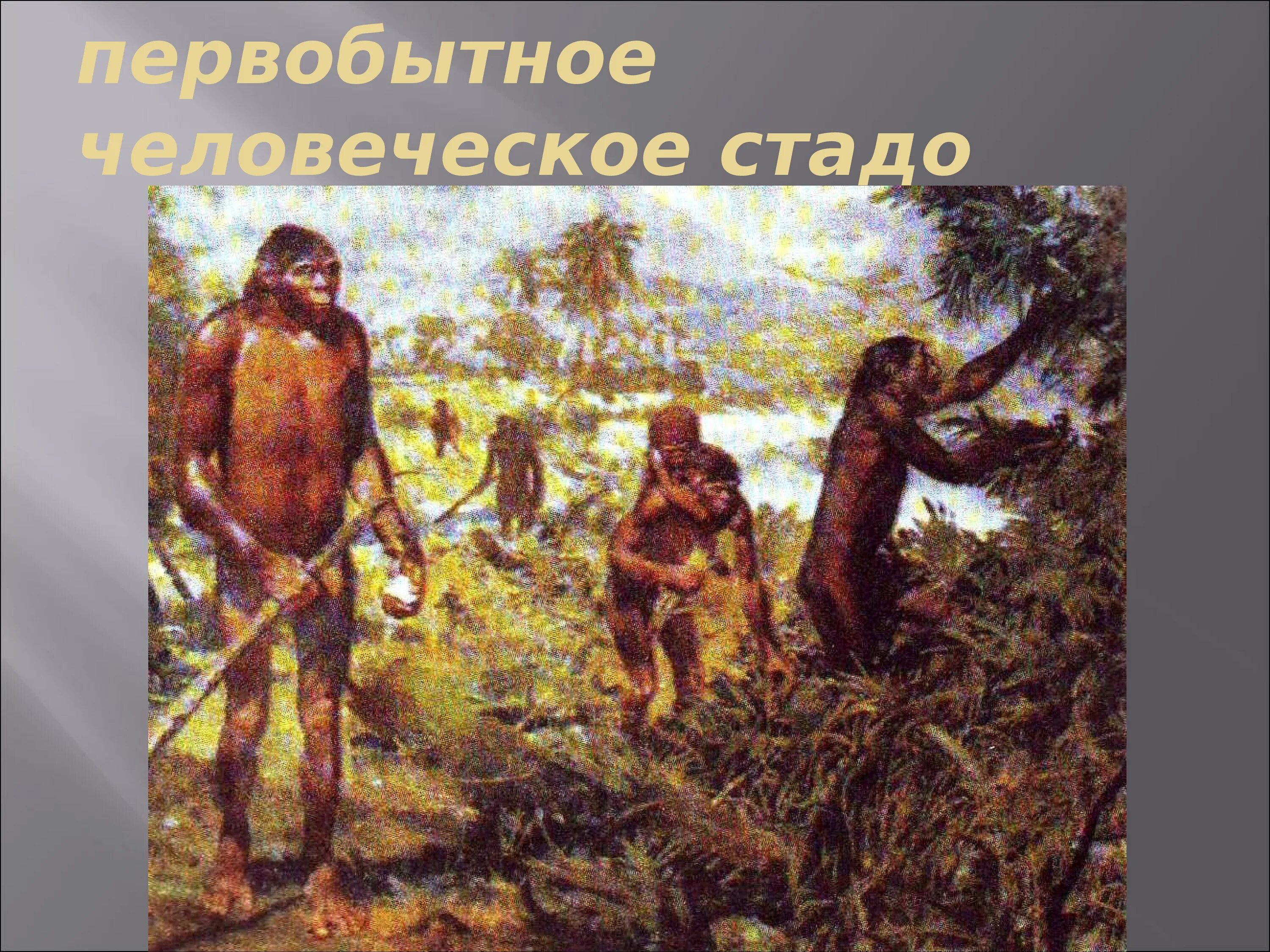 Человеческое стадо. Кто возглавлял первобытное человеческое стадо. Первобытное человеческое стадо. Кто возглавлял первобытное человеческое стадо. Начало истории человечества.