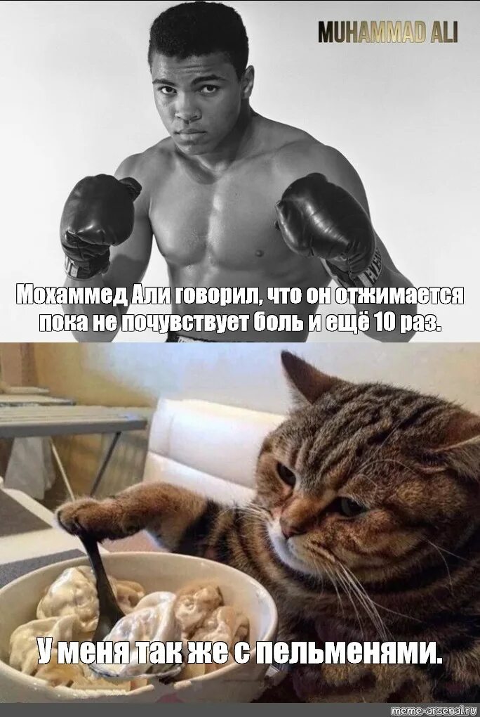 Сделай пока. Мухаммед али говорит. мухаммед али мемы. мохаммед али мем. мохаммед али говорил что отжимается пока не почувствует боль.