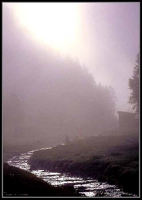 туманные души. туманные души. туманные души. призрак в тумане. девушка в тумане.