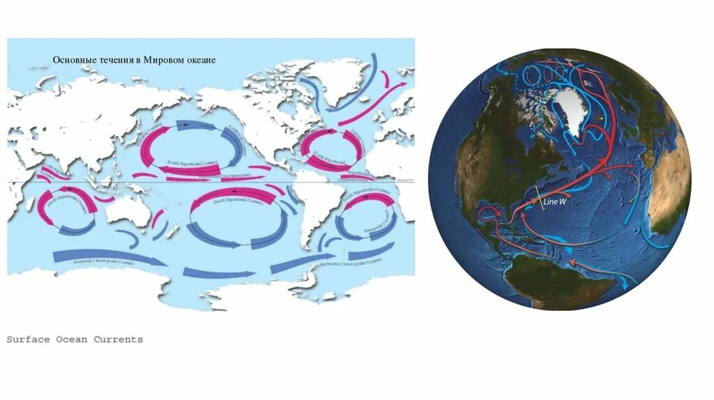 Схема теплых течений в мировом океане. Карта течений мирового океана. Основные поверхностные течения в мировом океане. Тёплые и холодные течения на карте мирового океана.