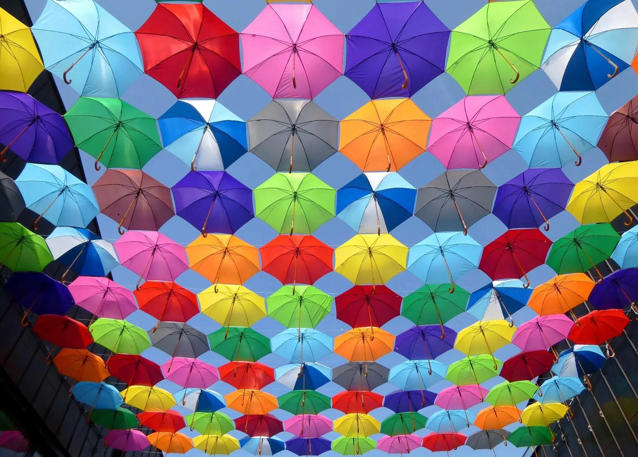 Разноцветные зонтики. Зонтики яркие. Разноцветный зонт. Разноцветные цвета. Colourful colour