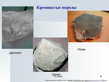 Кремнистая осадочная горная порода богатая кремнеземом