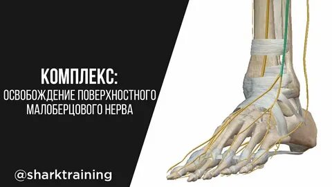 Невралгия малоберцового нерва