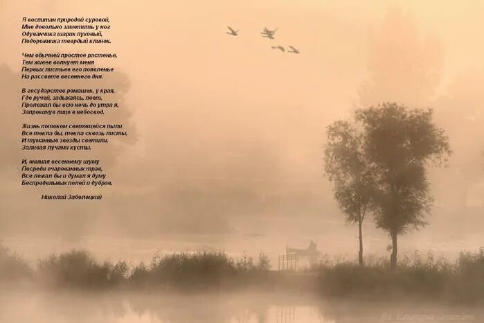 стих я разный , я натруженный. я разный я натруженный и праздный я целе и нецелесообразный. я разный я натруженный и праздный. я разный евтушенко. я праздный я натруженный.