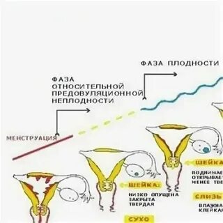 Наощупь как правильно
