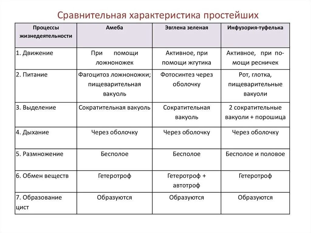 Сравнительная характеристика простейших таблица 7 класс биология. Общая характеристика простейших 7 класс биология таблица. Биология общая характеристика простейших таблица. Таблица по биологии 7 класс общая характеристика простейших. Признаки и черты различия