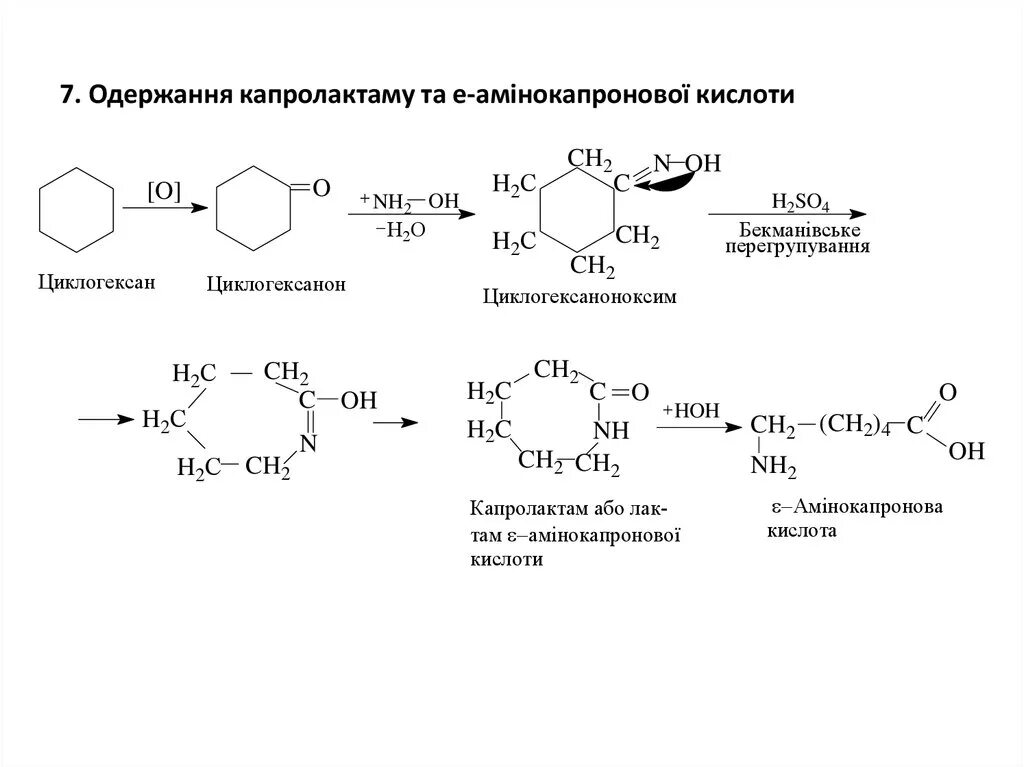 Капролактам реакция синтеза. Капролактама из циклогексана. Схема получения капролактама из бензола. Циклогексанол механизм реакции. Циклогексан продукт реакции