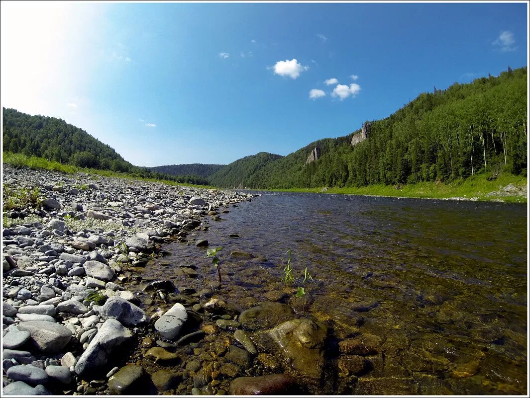 кия притоки. кия притоки. река кия тисульский район. река кия кемеровская область московка. реки кемеровской области кузбасс.