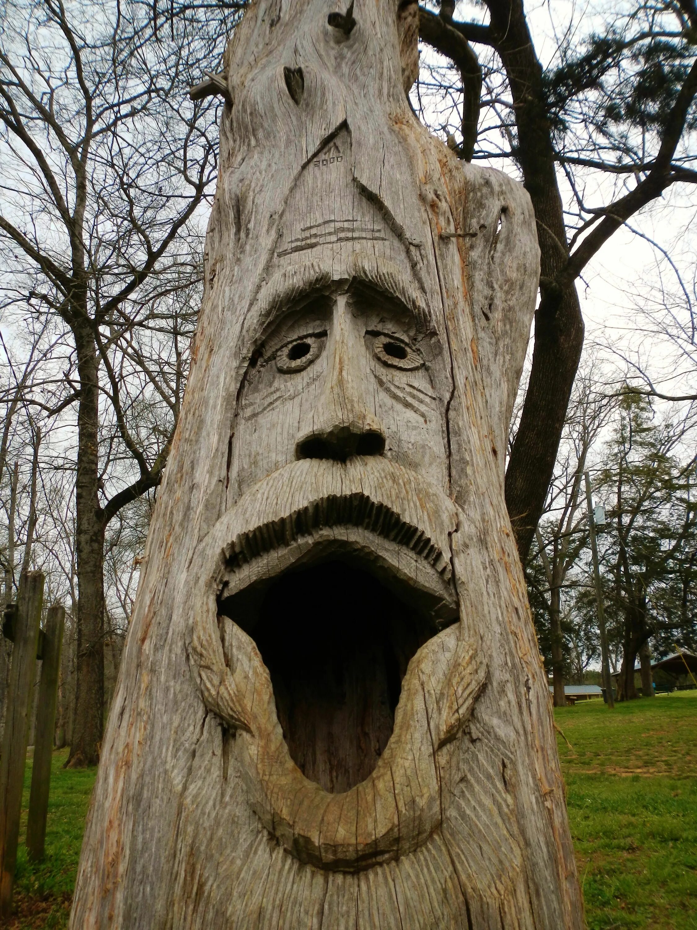 Картинки лицо дерево. Лицо на стволе дерева. Лицо из дерева. Дерево с лицом. Страшные скульптуры из дерева.