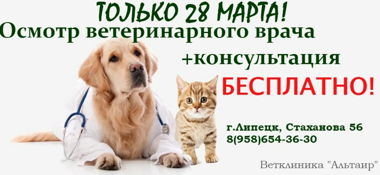 Номер телефона ветеринарной службы. Альтаир ветеринарная клиника Липецк. Альтаир ветеринарная клиника Липецк Стаханова 56. Ветеринарная клиника на Стаханова Липецк. Консультация ветеринара.