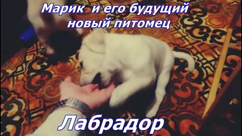Марик видео