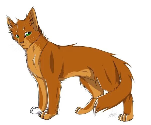 Коты воители огнесветик и ольхогрив. Стоящий кот воитель. Climbtothestars остролистая. Стоящий кот воитель. Коты воители бурый.