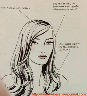 Длина волос схема