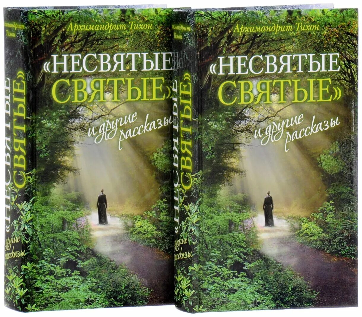 Шевкунов книга несвятые святые