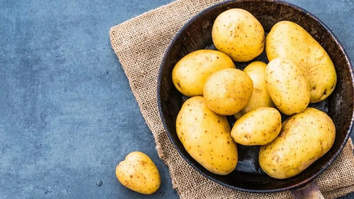 Картинка картошка. Сорт картофеля Зекура. Сорт картофеля Зекура характеристика. Картошка фон. Чистый картофель.