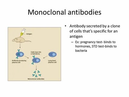 Monoclonal antibodies
