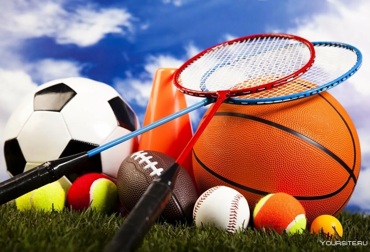 Инвентарь физра. Мяч в спортзале. Спортивный инвентарь. Инвентарь физра. Спортивное снаряжение.