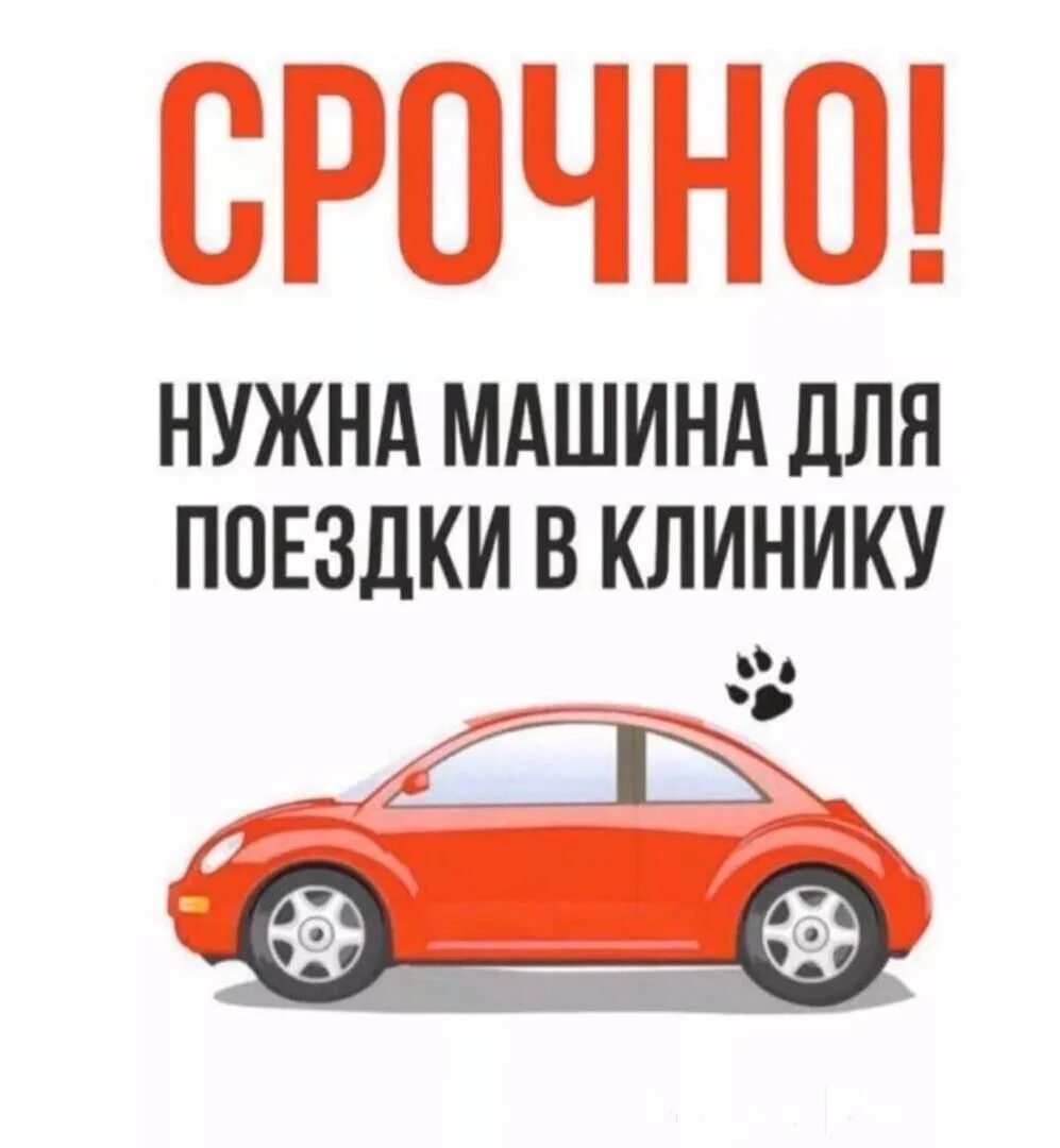 Срочно нужна машина. Нужна машина новосибирск. Отогрев автомобилей реклама. Срочно нужна машина. Нужна машина новосибирск.
