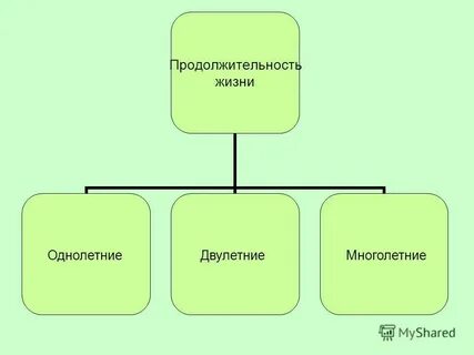 Продолжительность жизни однолетние двулетние многолетние