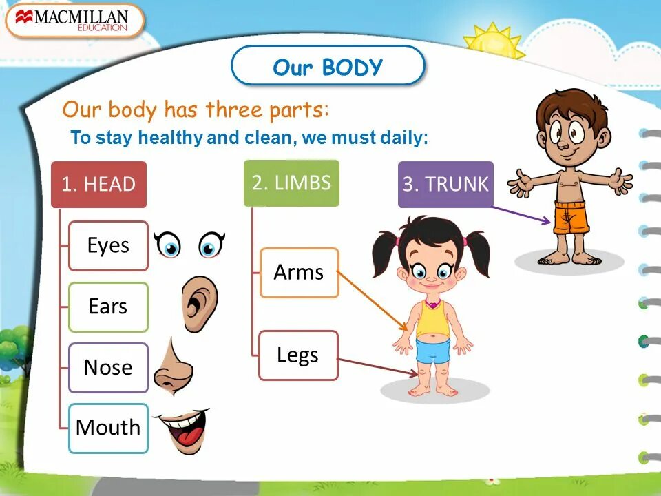B d y h m s. Parts of the body урок. План урока body Parts. Parts of the body 2 Grade. Our body картинки.