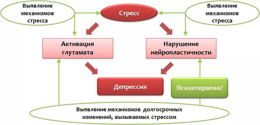 Два основных пути модификации стресса. Механизм стресса. схема возникновения стресса. механизм действия стресса. механизм развития стресса.