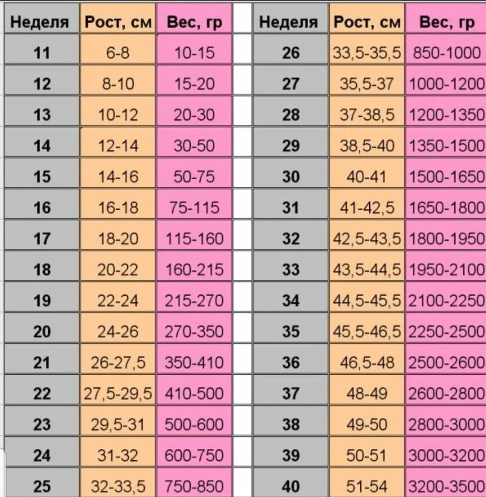 35 неделя какой. Вес и рост плода по неделям беременности. Вес плода по неделям беременности таблица нормы. Вес ребёнка в 30 недель беременности норма таблица по неделям. Вес ребёнка на 28 неделе беременности норма по неделям таблица.