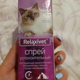 Успокаивающие средства для кошек