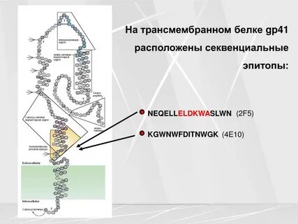 Вич перспектива