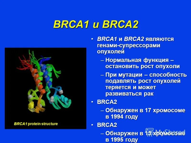 Обнаружена мутация гена. Выявление мутаций в генах. Мутация гена kras что это. Молекулярно-генетическое исследование показатели. Дистрогликаны.