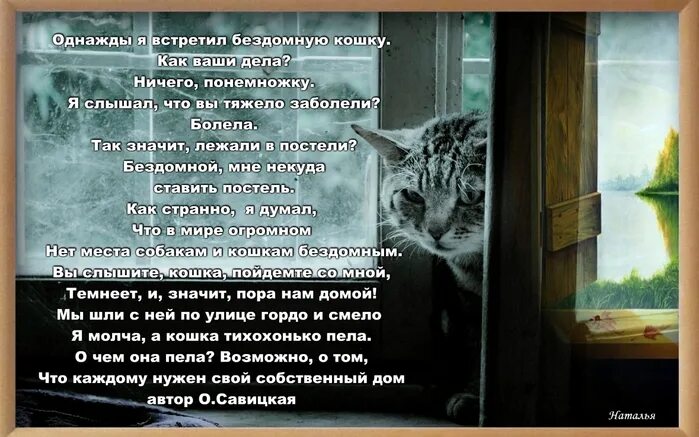 Стих бомжа. Стих про кошку. Стихи про котов. Стихи о котах. Стихи про котов и кошек.