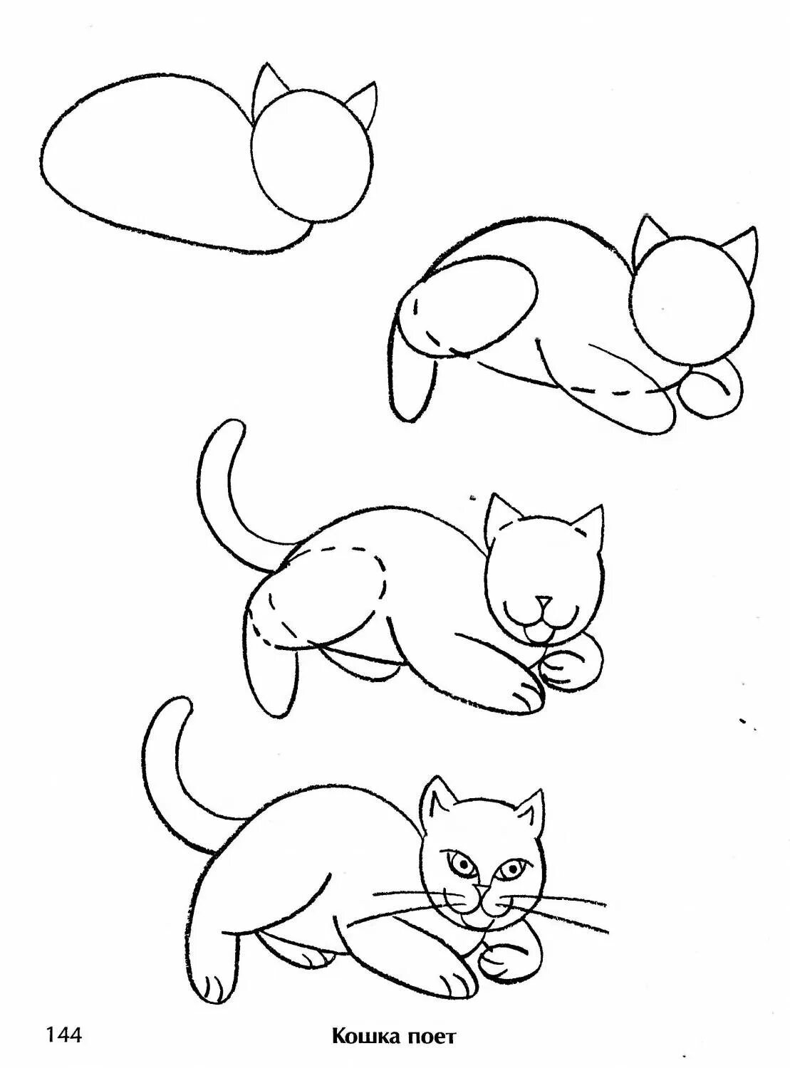 Рисовать поэтапно котиков. Этапы рисования кошки. Схема рисования кошки для детей. Этапы рисования кошки для дошкольников. Поэтапный рисунок кошки.