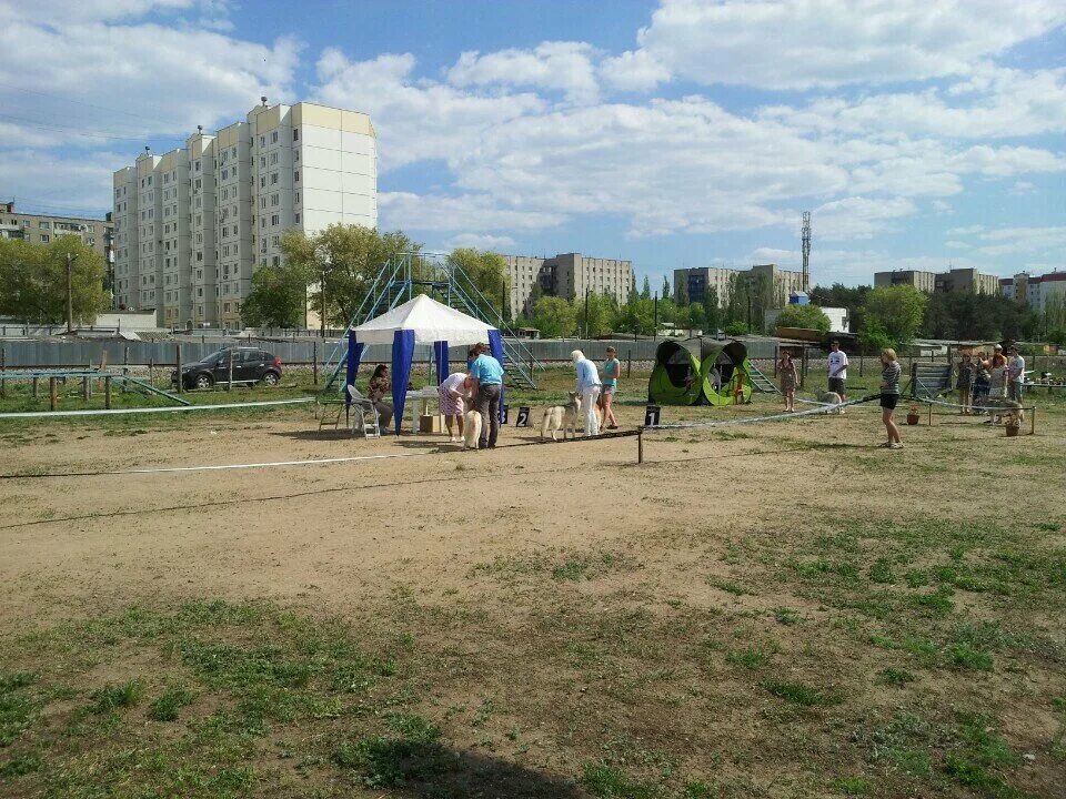 воронеж генерала перхоровича 4. улица генерала перхоровича, 4. ул перхоровича воронеж. перхоровича 4а. перхоровича 4 воронеж.