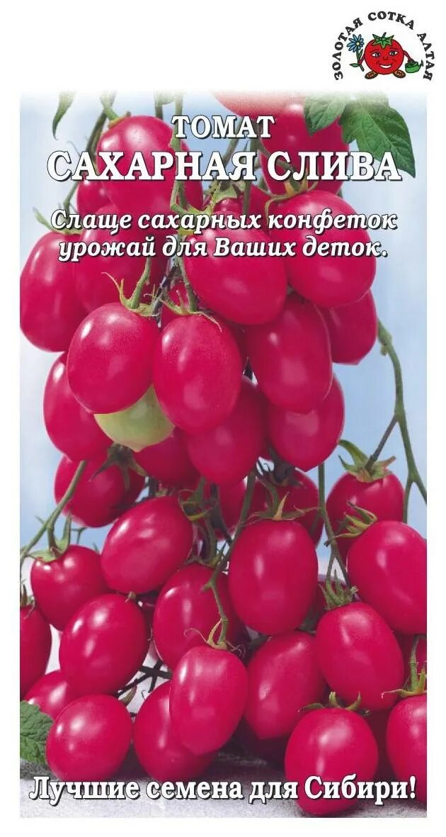 Чио Чио Сан помидоры. Томат Чио Чио Сан оранж. Томат Чио-Чио-Сан характеристика. Сорт помидор Чио Чио Сан.