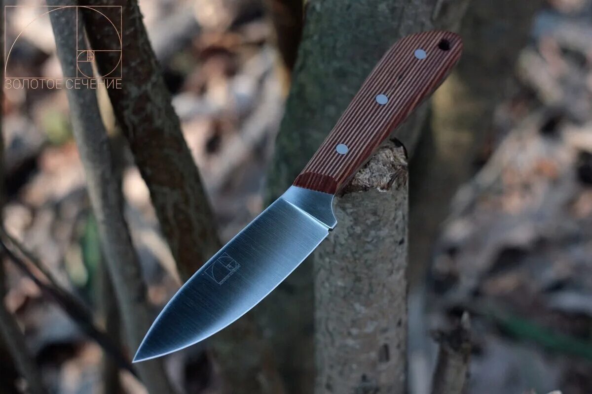 Нож нессмук 2 rock золотое сечение. Канадский поясной нож золотое сечение. Нож нессмук золотое сечение. Нож золотое сечение шкуросъемный. Нож канадец золотое сечение.