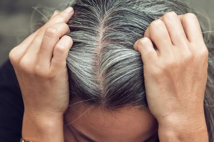 Dark brown to silver in one session Grey hair modern, Grey hair transformation, 