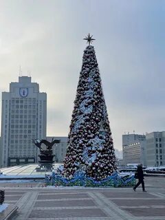 Ели минск