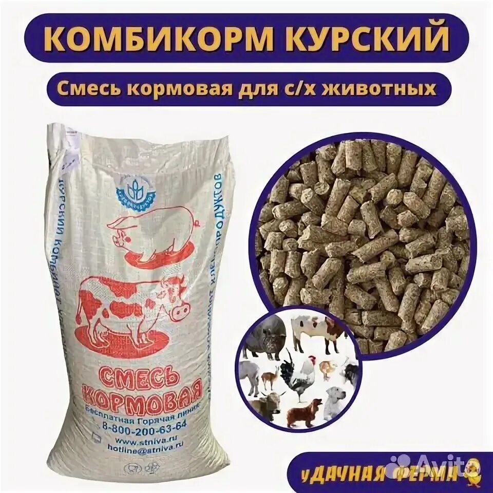 Курский комбикорм. Курский комбикорм для кроликов. Кормовая смесь. Комбикорм Курск. Купить корм курск