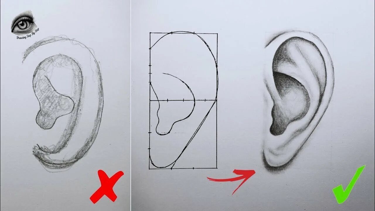 Ухо пошагово карандашом. Как нарисовать ухо поэтапно. Как нарисовать ушко. Как нарисовать ухо. Ухо карандашом.