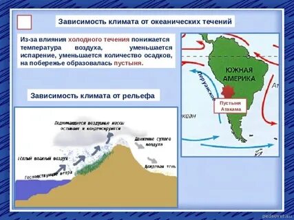 Выберите теплые течения омывающие южную америку