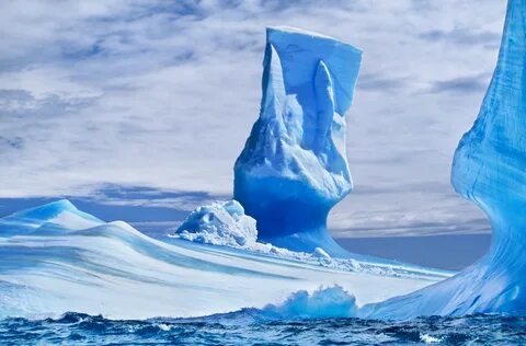 Norma tale antarctic