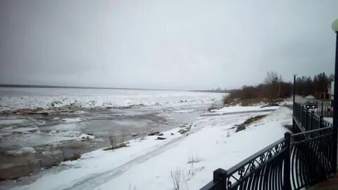 Дв березник