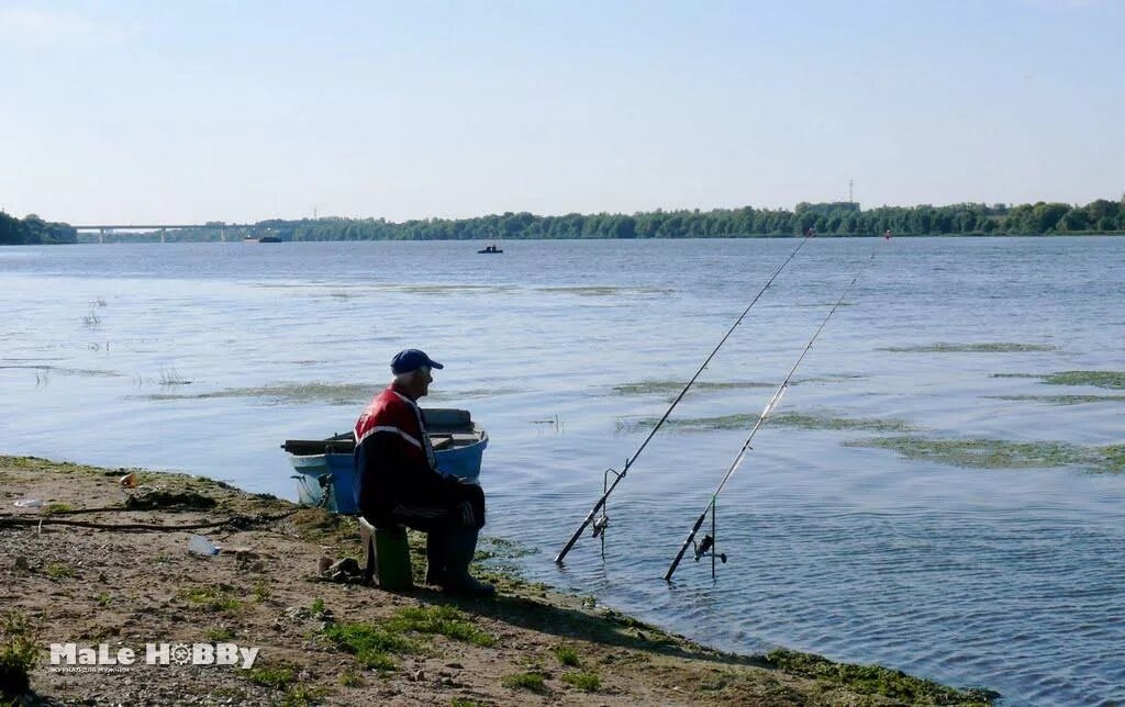 Река ока рыбалка. Рыбалка в рязани. Ока серпухов рыбалка. Рыбалка ока сейчас. Рыбалка на оке в подмосковье.