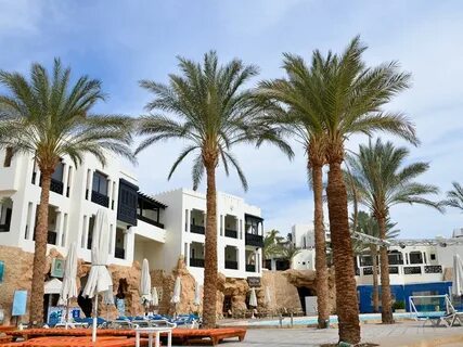 Red sea sharm resort 5