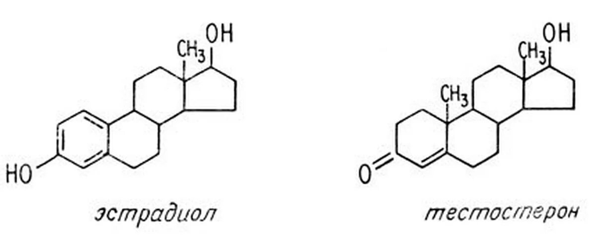 Эстрадиол строение. Феромоны формула. Эстрадиол и тестостерон. Бета эстрадиол.