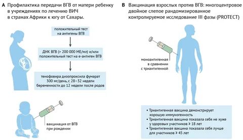 Прививка вгв