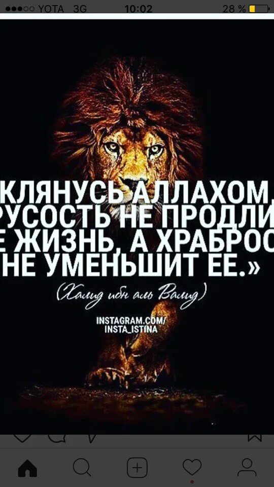 Трусость не продлит мне жизнь. Клянусь Аллахом трусость не. Клянусь Аллахом трусость не продлит мне жизнь. Трусость не продлит мне жизнь а храбрость уменьшить.